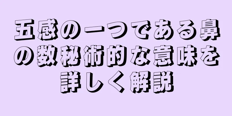 五感の一つである鼻の数秘術的な意味を詳しく解説