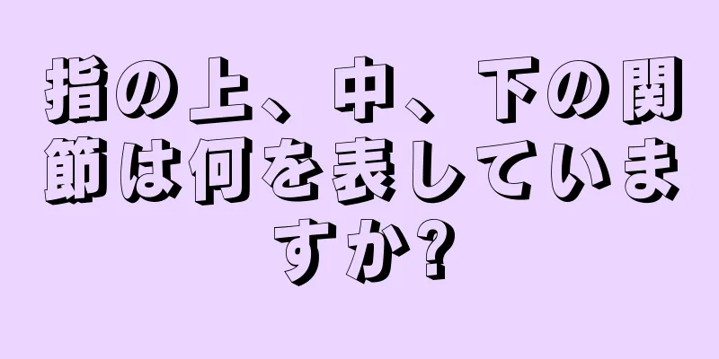 指の上、中、下の関節は何を表していますか?