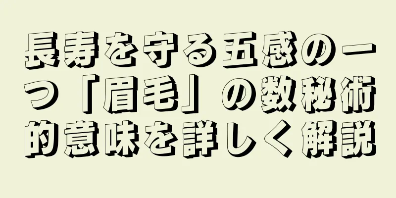 長寿を守る五感の一つ「眉毛」の数秘術的意味を詳しく解説