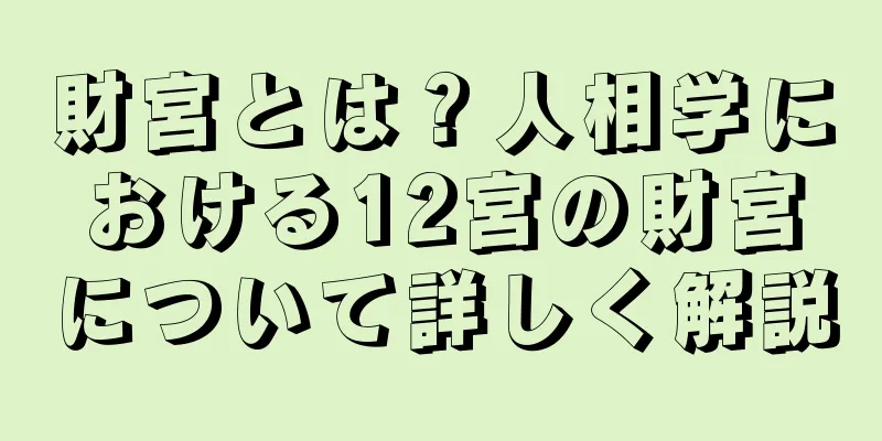 財宮とは？人相学における12宮の財宮について詳しく解説