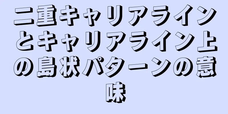 二重キャリアラインとキャリアライン上の島状パターンの意味