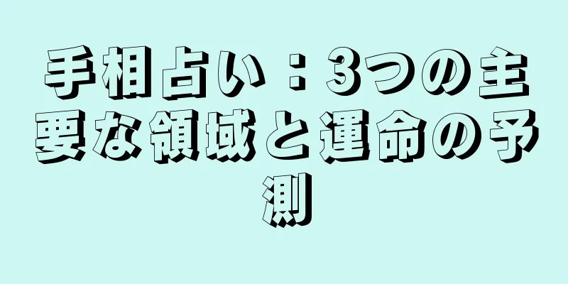 手相占い：3つの主要な領域と運命の予測