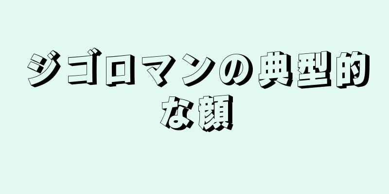 ジゴロマンの典型的な顔