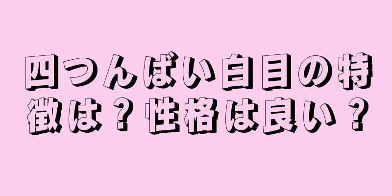 四つんばい白目の特徴は？性格は良い？