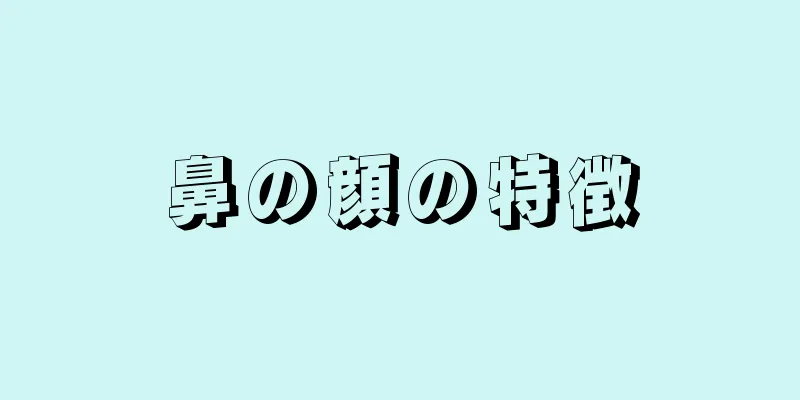 鼻の顔の特徴