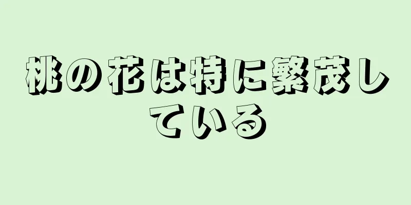 桃の花は特に繁茂している