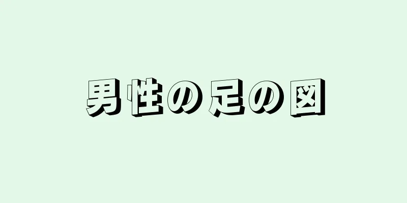 男性の足の図