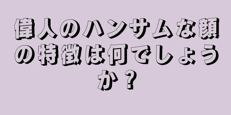 偉人のハンサムな顔の特徴は何でしょうか？