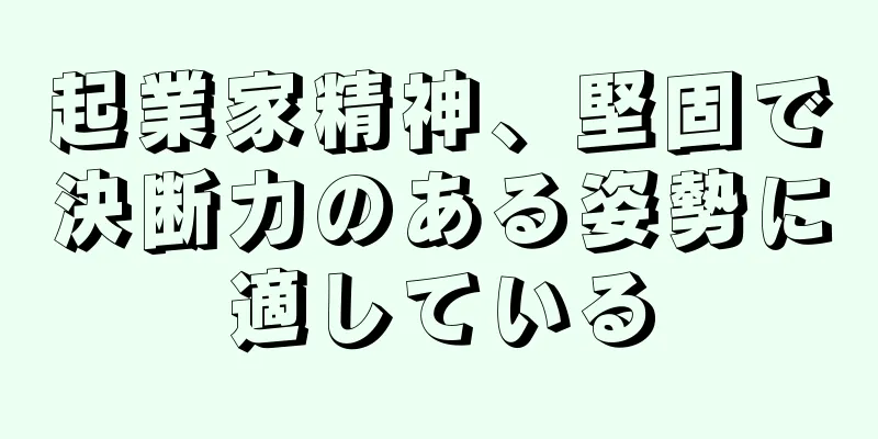 起業家精神、堅固で決断力のある姿勢に適している