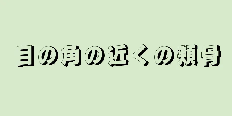 目の角の近くの頬骨