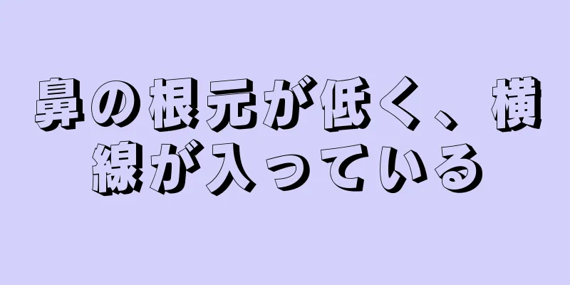 鼻の根元が低く、横線が入っている