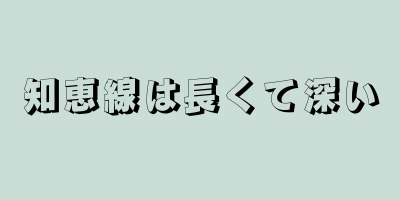 知恵線は長くて深い