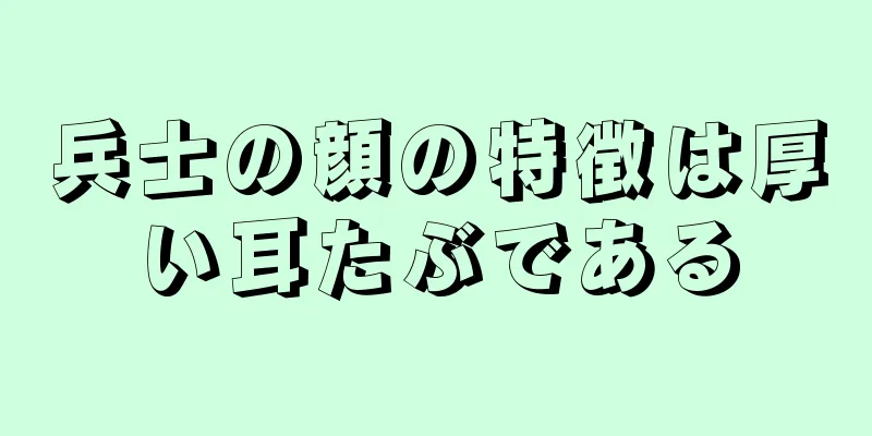 兵士の顔の特徴は厚い耳たぶである