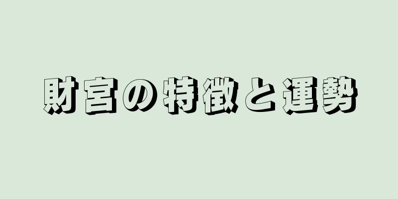 財宮の特徴と運勢