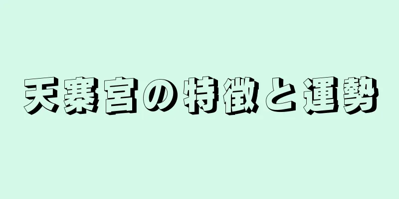 天寨宮の特徴と運勢