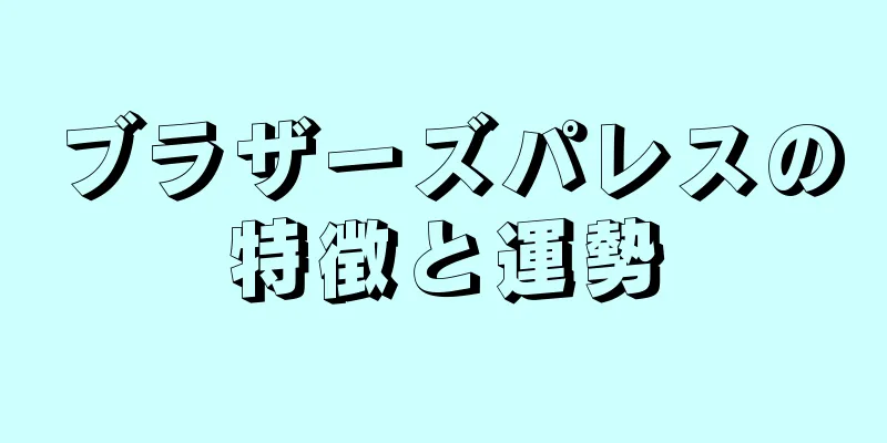 ブラザーズパレスの特徴と運勢