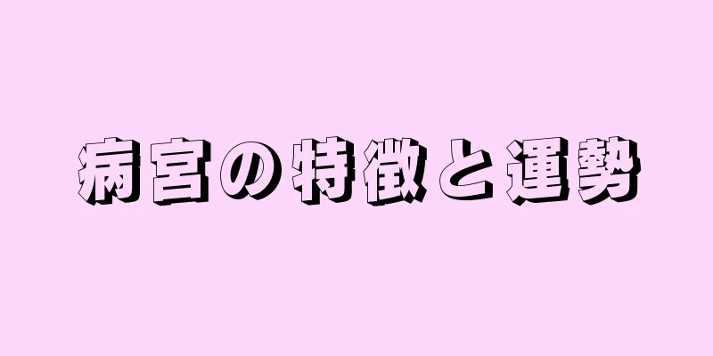 病宮の特徴と運勢