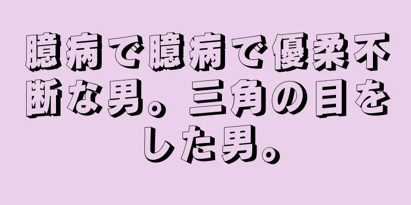 臆病で臆病で優柔不断な男。三角の目をした男。