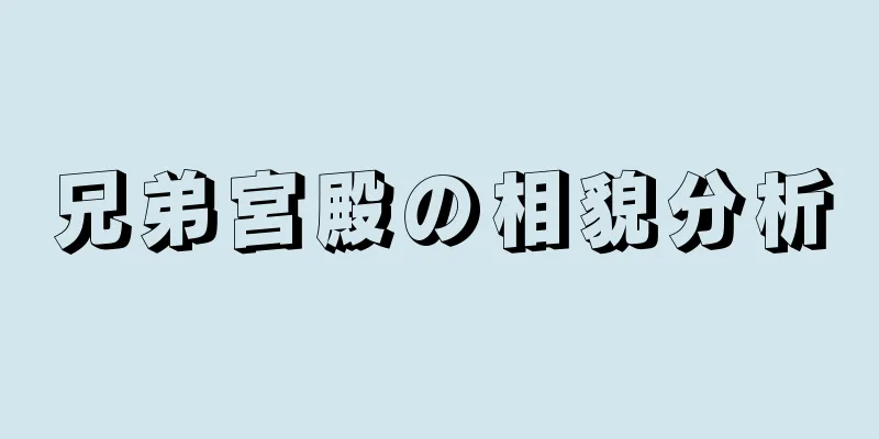 兄弟宮殿の相貌分析