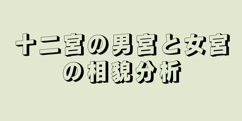 十二宮の男宮と女宮の相貌分析