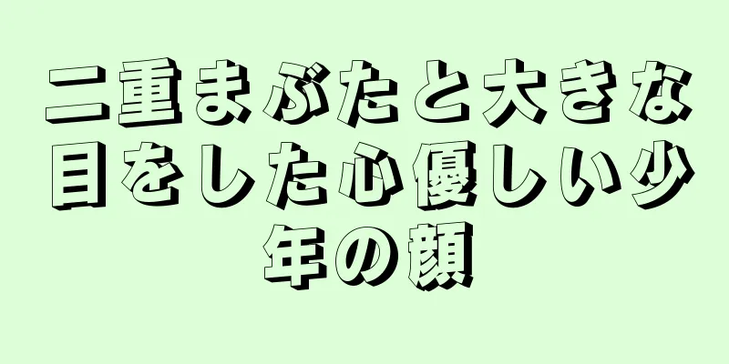 二重まぶたと大きな目をした心優しい少年の顔