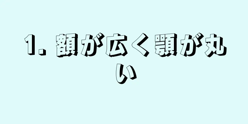 1. 額が広く顎が丸い