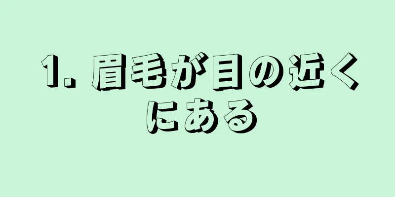 1. 眉毛が目の近くにある