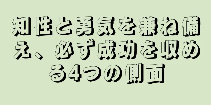 知性と勇気を兼ね備え、必ず成功を収める4つの側面