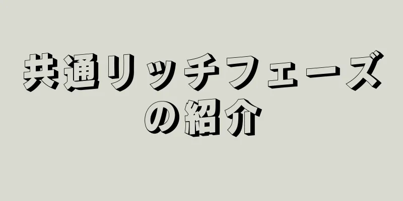 共通リッチフェーズの紹介