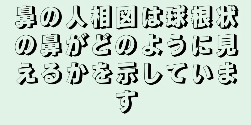 鼻の人相図は球根状の鼻がどのように見えるかを示しています