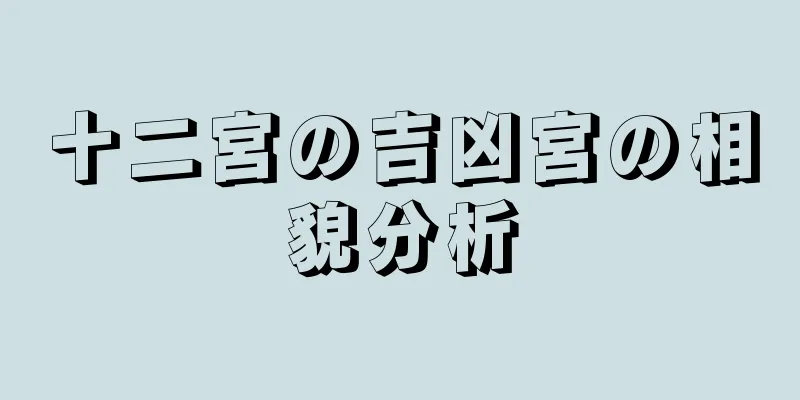 十二宮の吉凶宮の相貌分析