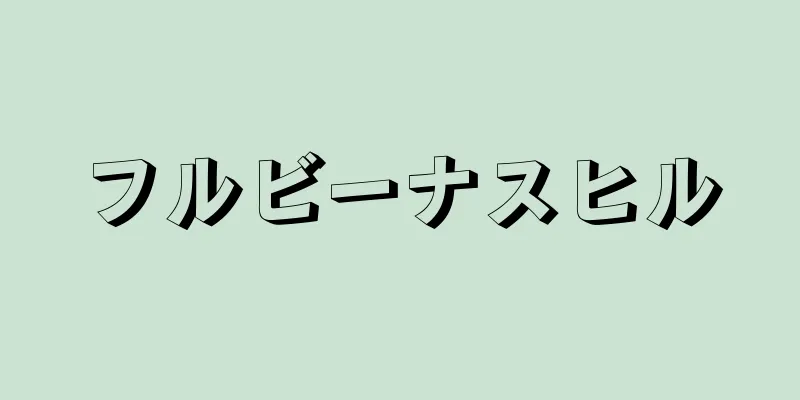 フルビーナスヒル