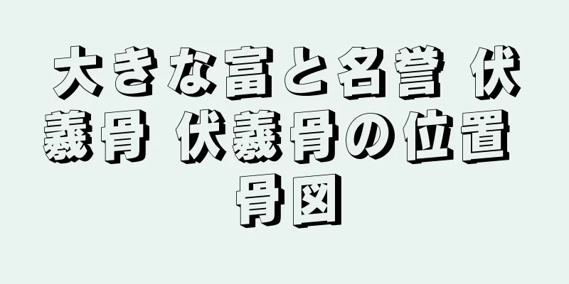 大きな富と名誉 伏羲骨 伏羲骨の位置 骨図