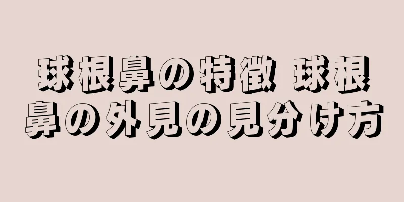 球根鼻の特徴 球根鼻の外見の見分け方