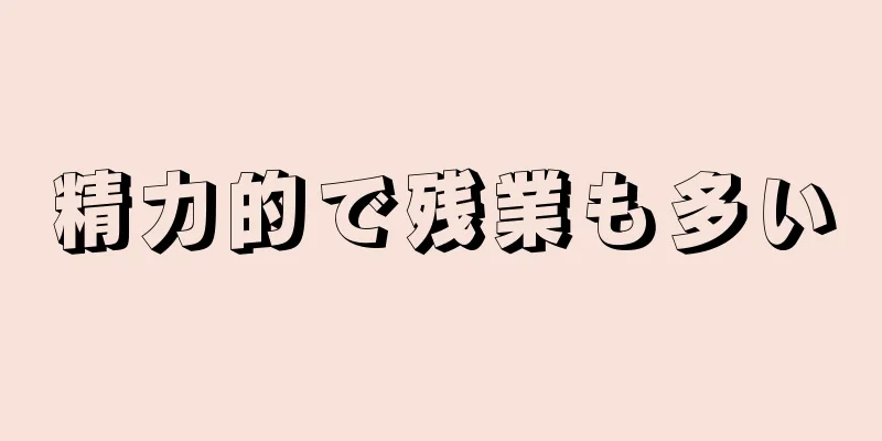 精力的で残業も多い