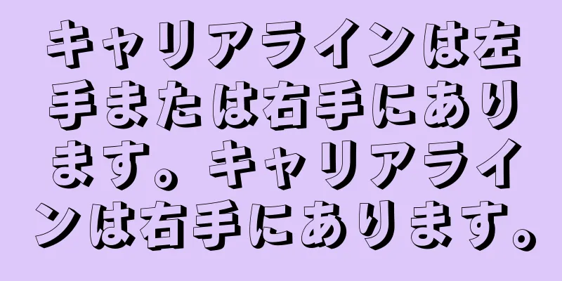 キャリアラインは左手または右手にあります。キャリアラインは右手にあります。