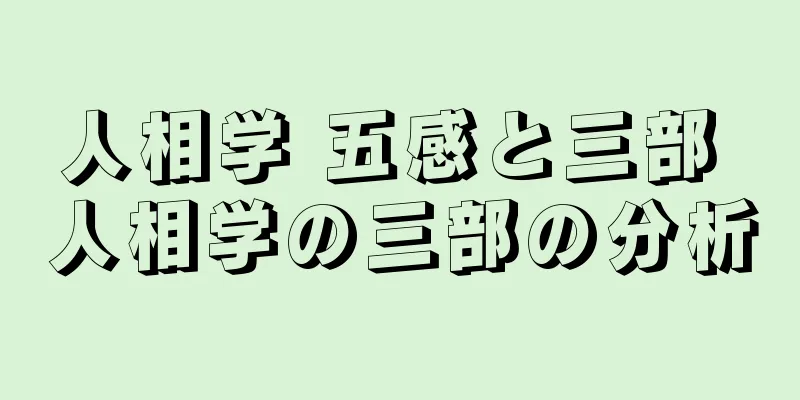 人相学 五感と三部 人相学の三部の分析