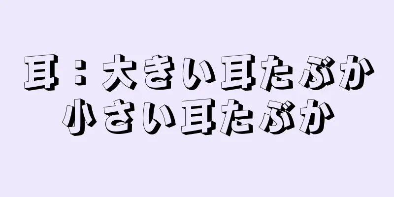 耳：大きい耳たぶか小さい耳たぶか