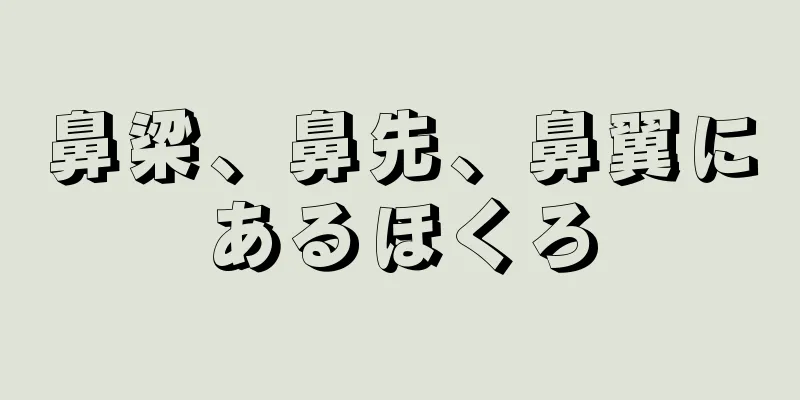 鼻梁、鼻先、鼻翼にあるほくろ