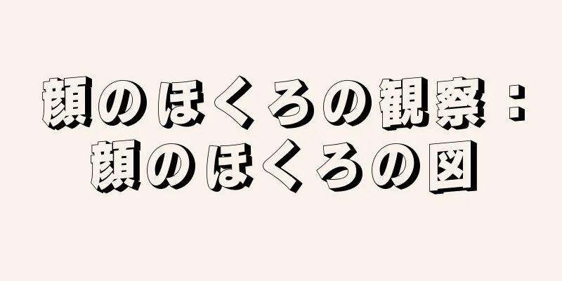 顔のほくろの観察：顔のほくろの図