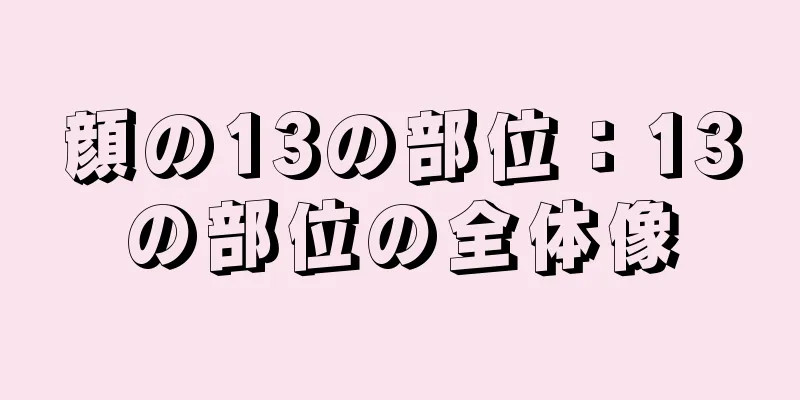 顔の13の部位：13の部位の全体像