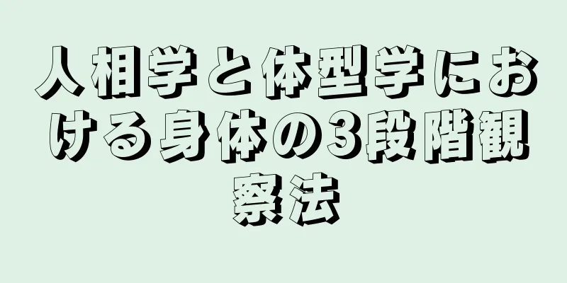 人相学と体型学における身体の3段階観察法