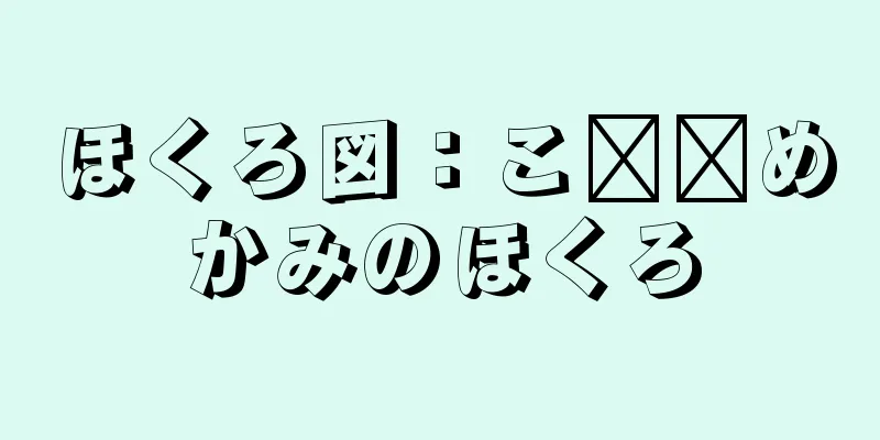 ほくろ図：こ​​めかみのほくろ