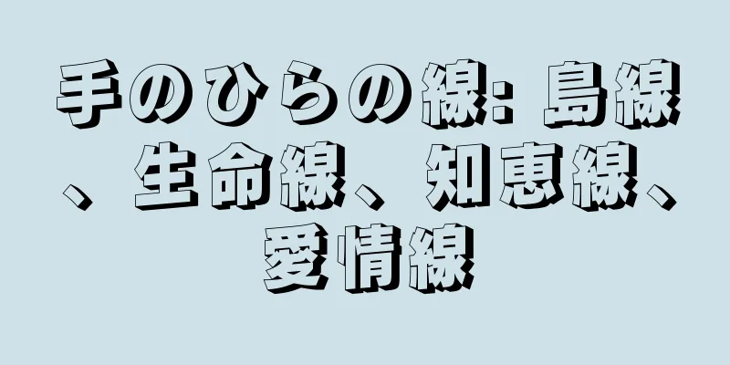 手のひらの線: 島線、生命線、知恵線、愛情線