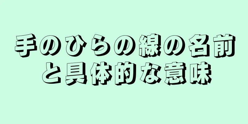 手のひらの線の名前と具体的な意味