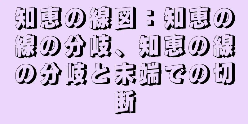 知恵の線図：知恵の線の分岐、知恵の線の分岐と末端での切断