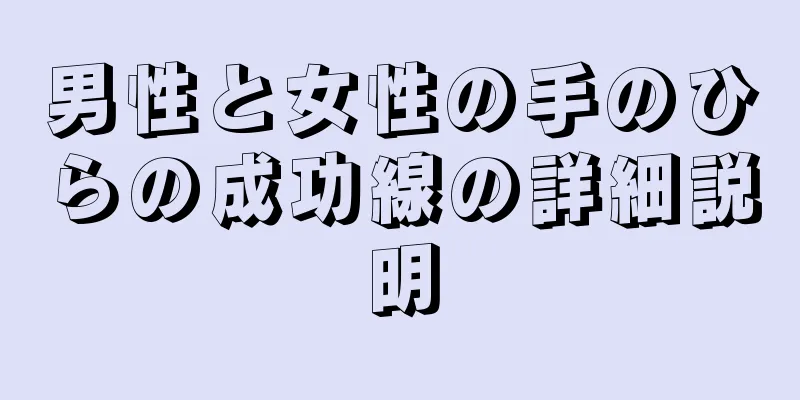 男性と女性の手のひらの成功線の詳細説明