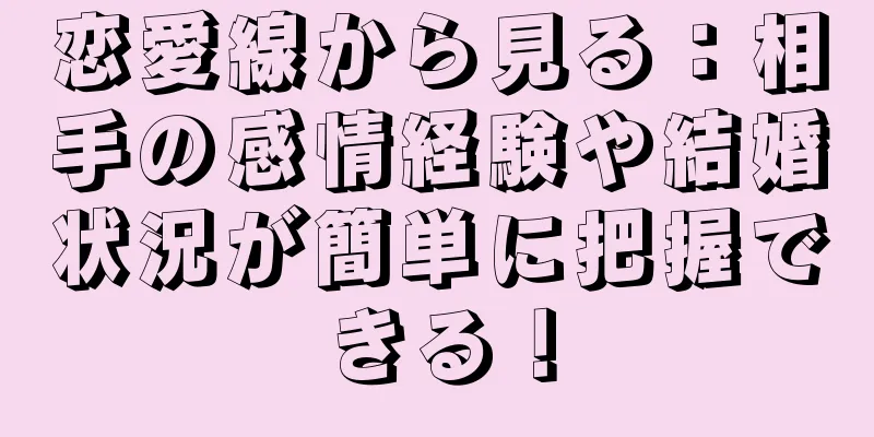 恋愛線から見る：相手の感情経験や結婚状況が簡単に把握できる！