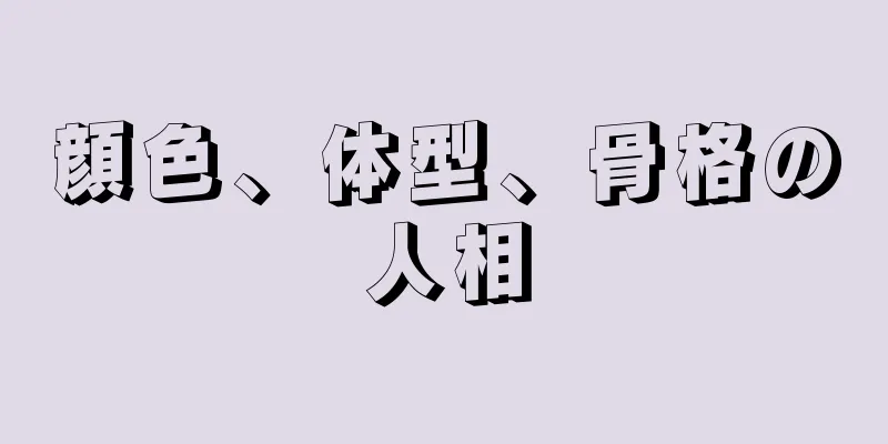 顔色、体型、骨格の人相