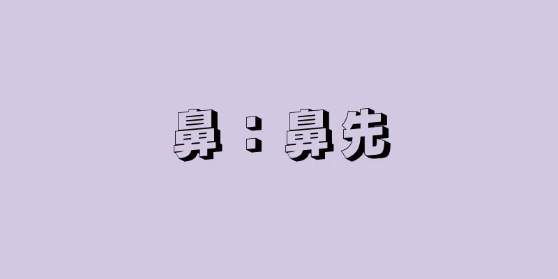 鼻：鼻先